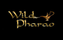 Бонус за первые четыре депозита в казино WildPharao